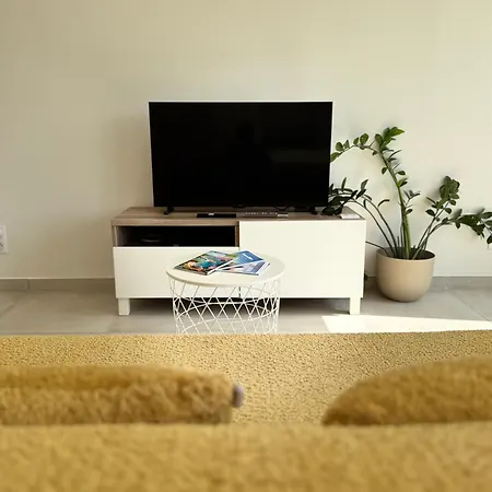 Luxueux T2 A 100m De La Apartment Canet-en-Roussillon